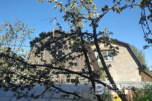 Лишний балл: Минсельхозу Татарстана "предъявили" сговор с Союзом садоводов