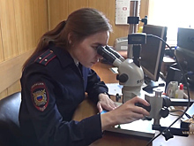 В Люберцах полицейскими задержаны подозреваемые в изготовлении и сбыте поддельных денег