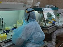 В РПН ответили на вопрос о сертификате для неофициальных ковидников