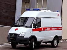 Под Новосибирском сотрудники завода керамических изделий подрались палками