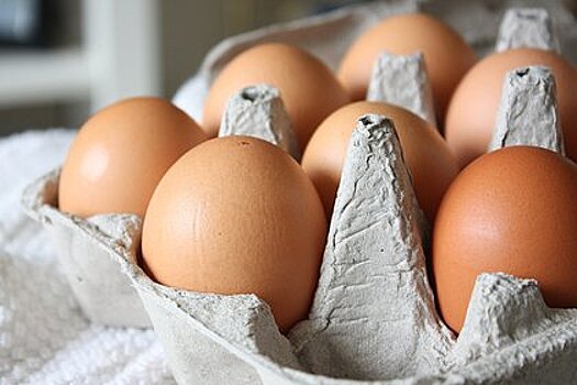 Диетолог назвала допустимое количество яиц в неделю