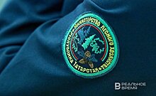 В Татарстане утвердили численность и состав коллегии Минлесхоза