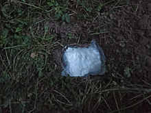 Полицейские в подмосковном Чехове изъяли более 2 килограммов мефедрона