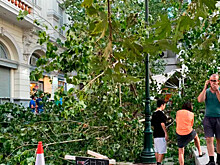 В Афинах дерево упало во время ужина американских посла и сенатора