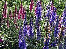 Это только мне так "везет"? Неожиданности сезона