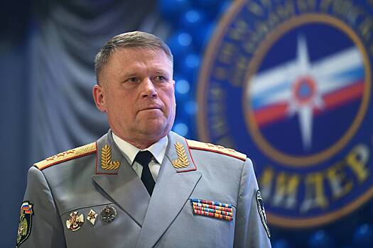 Бывшему замминистра МЧС России дали срок по делу о мошенничестве с квартирой