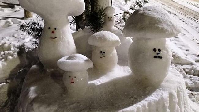 Житель Фатежа украшает двор снежными скульптурами