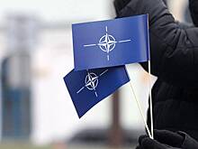 Член СПЧ Поляков назвал НАТО «раковой опухолью» для человечества