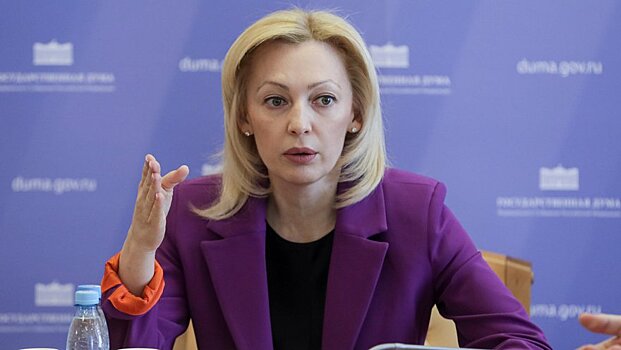 Ольга Тимофеева: комитет обратится в Правительство, чтобы «ускорить» законопроекты, касающиеся расходов на НКО