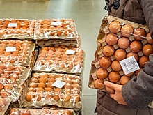 Поставки в Россию куриных яиц из Азербайджана достигли 3,3 млн штук