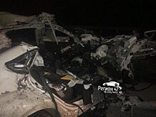 В Кемеровской области два человека погибли в ДТП с лосем