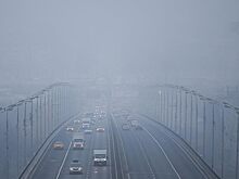 Туман над Центральной Россией: чем он опасен?