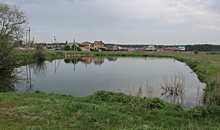 В Воронеже активисты просят власти очистить озеро в микрорайоне Никольское