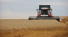Аграрии Красноярского края собрали более 1,5 миллиона тонн зерна