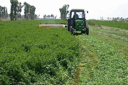 Более 6,5 млрд руб. вложат в строительство завода по  переработке люцерны под Астраханью