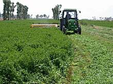 Более 6,5 млрд руб. вложат в строительство завода по  переработке люцерны под Астраханью