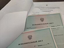 Слобожанка погасила полумиллионный долг по налогам из-за риска потерять землю