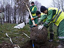 В парке «Яуза» начали высаживать деревья