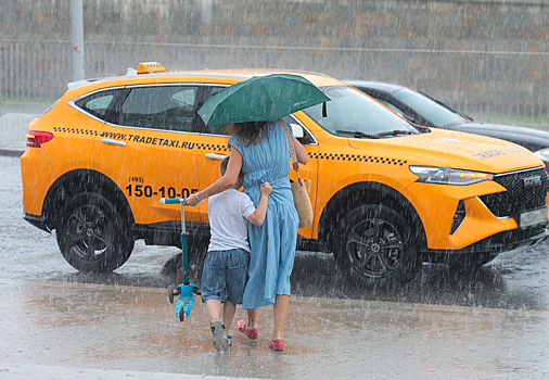 Таксистам решили запретить задирать цены в непогоду. Что ещё собираются изменить в законе