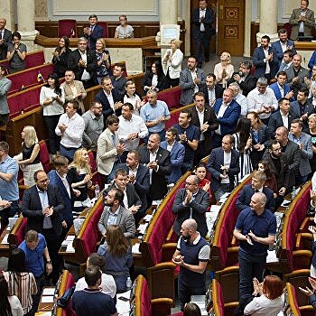 Как животное. Депутата поймали в Верховной Раде за постыдным занятием - видео