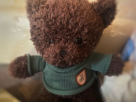 Маленькая костромичка спасла жизнь мамы, позвонив в полицию