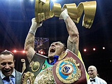 Победа Усика вновь навела Киев на странные мысли