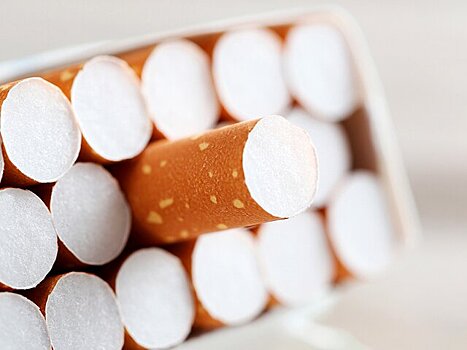 В Совфеде предложили ввести контроль за оборотом табачной продукции