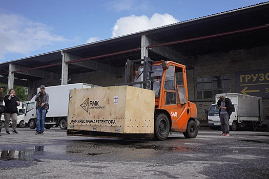 Тигр-инвалид из Челябинска благополучно приземлился в Хабаровске