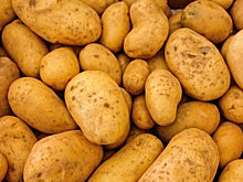 Время овощей: картошка подорожала на 50,9%