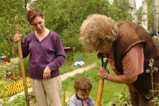 8% граждан верят в использованное против РФ климатическое оружие