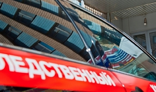 Бастрыкин поручил возбудить дело по факту мошенничества в Волгоградской области