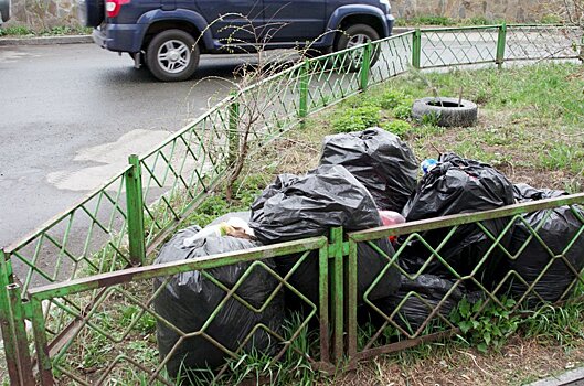 Владимир Елистратов: У меня под окнами лежат кучи мешков с мусором