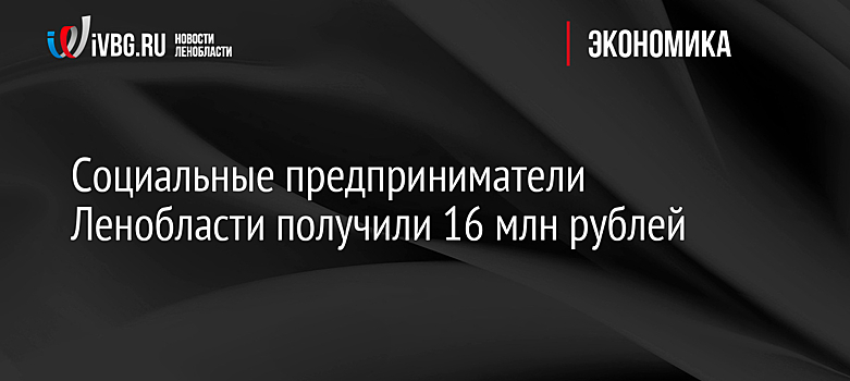 Социальные предприниматели Ленобласти получили 16 млн рублей