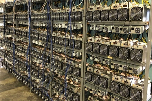 Оплатить парковку в «Храброво» теперь можно по QR-коду