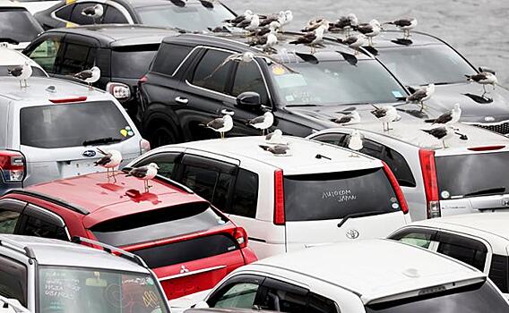 Поставки в Россию японских авто с пробегом увеличились на треть