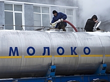 «К бидонам не вернемся»: Молочная отрасль рассчитывает на «российский TetraPak»