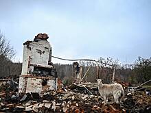 Затраты на восстановление Курской области оценили