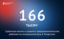 В Татарстане действует 166 тысяч субъектов малого и среднего предпринимательства — это много или мало?