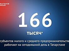 В Татарстане действует 166 тысяч субъектов малого и среднего предпринимательства — это много или мало?