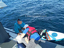 В Краснодарском крае спасли сапбордиста, унесенного в открытое море