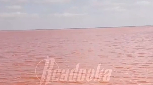 Розовое озеро Сасык-Сиваш «ожило» в Крыму и наполнилось водой