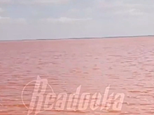 Розовое озеро «ожило» в Крыму и наполнилось водой