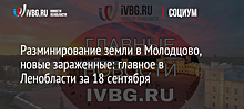 Разминирование земли в Молодцово, новые зараженные: главное в Ленобласти за 18 сентября