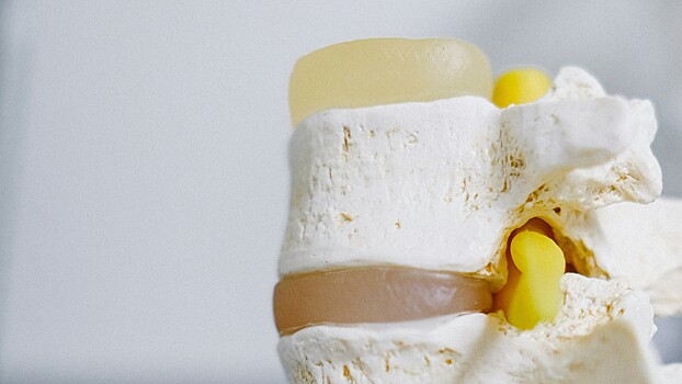 У иммунных клеток обнаружили новую функцию в костной ткани