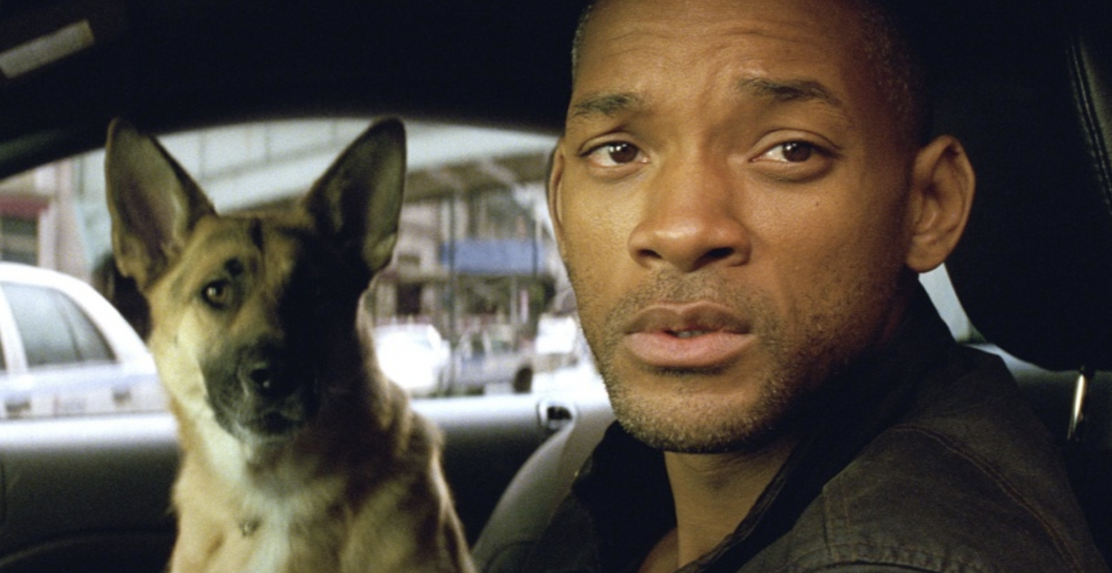 Уилл смит зомби. Я легенда фото. Я легенда про что. Я легенда про что. Уилл смит я легенда.