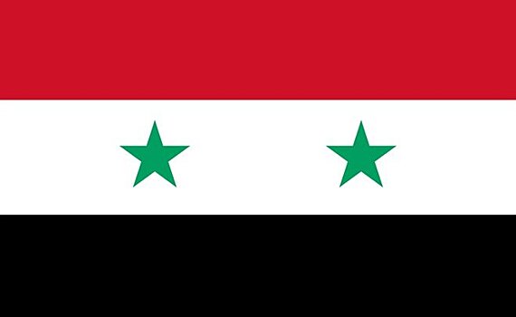 Сирийская группировка встала на сторону правительства