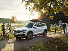 Skoda Kodiaq будут собирать в Нижнем Новгороде