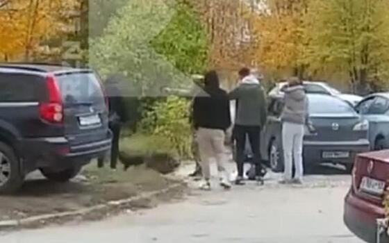 Рязанцы устроили стрельбище во дворе Дашково-Песочни