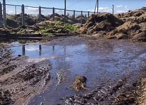 Эксперты не нашли связи между сельхозкомплексом и загрязнением воды в Аксарке