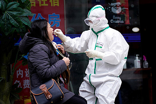 Telegraph раскрыла планы ученых из Уханя заразить летучих мышей коронавирусом в 2018 году